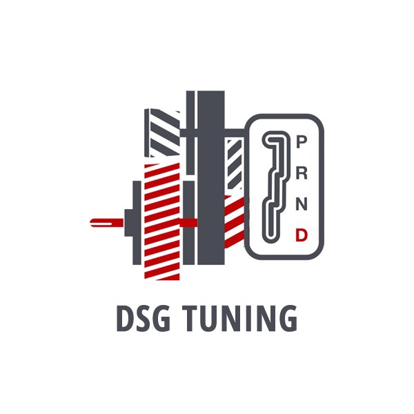 07 dsg tuning - Turbo Center Chip Tuning